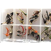 BestCity Moscas de pesca con mosca de NYMPH con cabeza de cuentas selección de 32 moscas para pesca de trucha…
